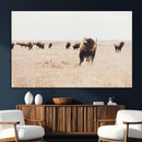 Bison Herd Wall Art Canvas Print – Framed Western Prairie