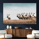 Elk Herd Wall Art Canvas Print – Framed Wildlife Photography