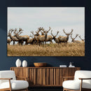 Elk Herd Wall Art Canvas Print – Framed Wildlife Photography by MyGreatCanvas | Canvas Wall Art Prints | Photo Prints & Wall Decor