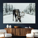 Moose Snow Wall Art Canvas Print – Framed Winter Wildlife
