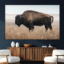American Bison Wall Art Canvas Print – Majestic Buffalo