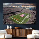 Chicago Bears Soldiers Field Wall Art Canvas Print – Framed