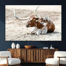 Majestic Longhorn Wall Art Canvas Print – Resting on Sunlit by MyGreatCanvas | Canvas Wall Art Prints | Photo Prints & Wall Decor