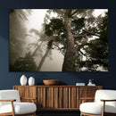 Misty Forest Tall Trees Foggy Atmosphere Nature Serenity by MyGreatCanvas | Canvas Wall Art Prints | Photo Prints & Wall Decor
