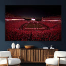 Dooley Stadium Wall Art, Sports Arena Canvas Print, Dooley by MyGreatCanvas | Canvas Wall Art Prints | Photo Prints & Wall Decor