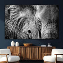 Wild Old Elephant Wall Art Canvas Print