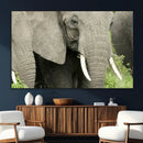 Wild Elephant Wall Art Canvas Print by MyGreatCanvas | Canvas Wall Art Prints | Photo Prints & Wall Decor