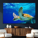 Sea Turtle Wall Art Canvas Print, Sea life in the Ocean Wall