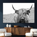 Newfoundland Cow Art Wall Art, Black White Cow Art Wall Art