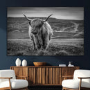 Fluffy Cattle Wall Art Print, Highland Cow Canvas, Framed by MyGreatCanvas | Canvas Wall Art Prints | Photo Prints & Wall Decor