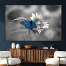 Blue Butterfly Black and White Canvas Wall Art by MyGreatCanvas | Canvas Wall Art Prints | Photo Prints & Wall Decor