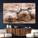 Lion Pair Wall Art Canvas Print – Framed Wildlife Scene with
