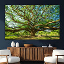 Majestic Oak Tree Wall Art – Serene Nature Canvas Print with