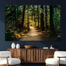 Sunlit Forest Pathway Canvas Print | 3 Panel Large Nature by MyGreatCanvas | Canvas Wall Art Prints | Photo Prints & Wall Decor