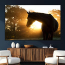 Horse at Sunset Wall Art Animal Canvas Print