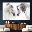 White Horse Wall Art Animal Canvas Print by MyGreatCanvas | Canvas Wall Art Prints | Photo Prints & Wall Decor