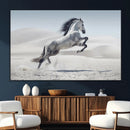 Prancing Horse Desert Large Wall Art Canvas Print – Majestic