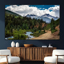 San Juan Nal Forest Wall Art Landscape Canvas Print