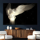 Night Owl Art -  Illuminating the Darkness – Unique