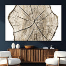 Abstract Wood Tree Ring Wall Art - Ready to Hang Minimalist