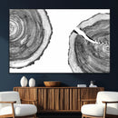 Abstract Large Tree Rings – Minimalist Black and White Wood