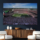 South Carolina Gamecocks Football Team Print - Columbia