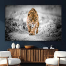 Jaguar Wall Art Canvas Print - Majestic Big Cat in Focused by MyGreatCanvas | Canvas Wall Art Prints | Photo Prints & Wall Decor