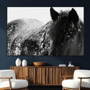 Black Horse in Snow Canvas Print | Winter Horse Wall Art |