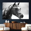Horse Canvas Print - Winter Horse Snow Wall Art Canvas Print