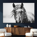 Western Wall Art | Black and White Winter Horse Wall Art | by MyGreatCanvas | Canvas Wall Art Prints | Photo Prints & Wall Decor