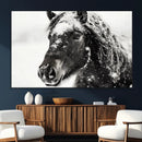 Framed Black and White Horse Wall Art | Ready to Hang and by MyGreatCanvas | Canvas Wall Art Prints | Photo Prints & Wall Decor