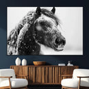 Winter Horse Canvas Print | Large 3-Panel Black White Equine
