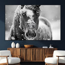 Black and White Horse Winter Wall Art | Ready to Hang and