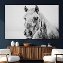 White Horse Wall Art | Ready to Hang and Framed | Winter