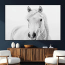 Majestic White Horse Wall Art | Ready to Hang and Framed |