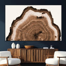 Rustic Wood Rings Wall Art | Nature-Inspired Tree Ring