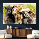 Curious Cows Farmhouse Wall Art | Ready to Hang and Framed by MyGreatCanvas | Canvas Wall Art Prints | Photo Prints & Wall Decor
