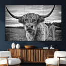 Scottish Highland Cow Wall Art Canvas Print | Ready to Hang