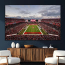 Florida Tampa Raymond James Stadium Wall Art Canvas Print -