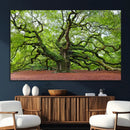 Framed Angel Oak Tree Wall Art - 3-Panel Canvas Prints,