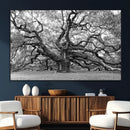 Black White Angel Oak Tree Wall Art - Timeless