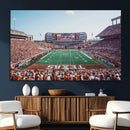 Framed Texas Memorial Stadium Canvas, University of Texas