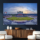 Florida Atlantic University Owls Football Team Print - Boca by MyGreatCanvas | Canvas Wall Art Prints | Photo Prints & Wall Decor