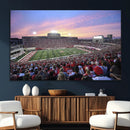Indiana University Hoosiers Football Team Print -