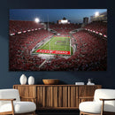 Ohio State University Buckeyes Football Team Print -