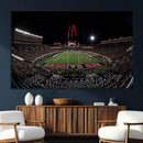 Framed Texas Tech Red Raiders Stadium Canvas, Texas Tech Red by MyGreatCanvas | Canvas Wall Art Prints | Photo Prints & Wall Decor