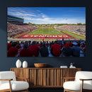 Ball State Cardinals Football Team Print - Muncie Scheumann