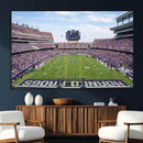 TCU Horned Frogs Football Team Print - Fort Worth Amon G.