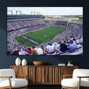 The Texas Christian University TCU Horned Frogs Football