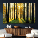 Sunlit Forest Wall Art Canvas Print – Large Framed Woodland